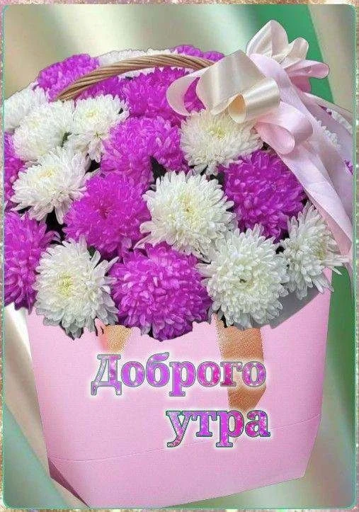 Доброе утро, друзья, и хорошего дня! 👋