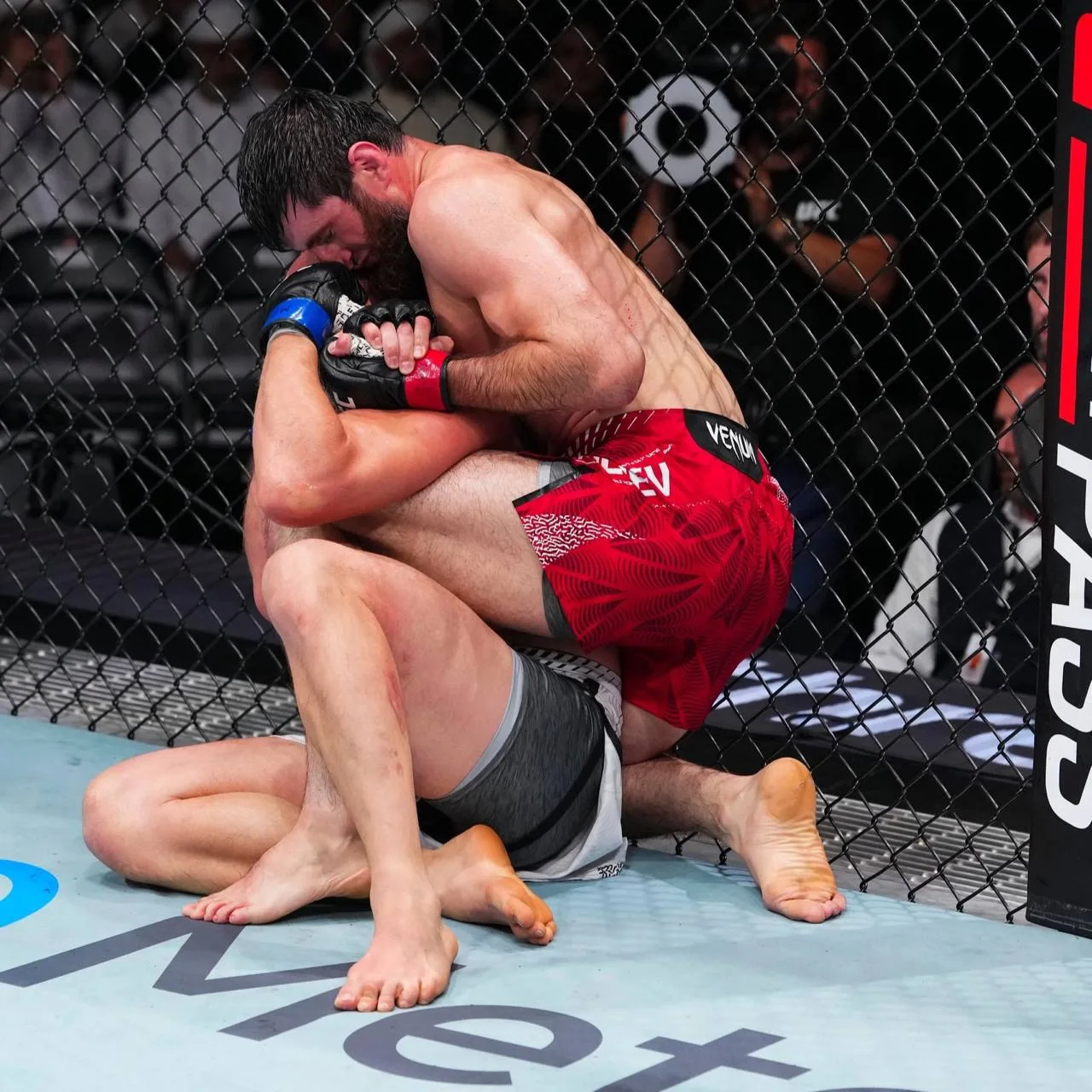 💰 Зарплаты главных участников UFC в Абу-Даби

🇷🇺 Магомед Анкалаев - $591 000
🇺🇿 Богдан Гуськов 