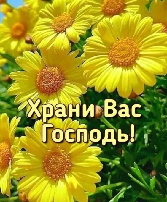 Открытки с верой