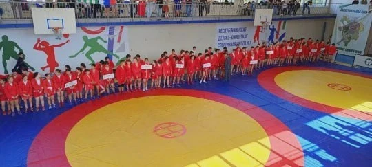 Ставропольские самбисты взяли медали в Сухуме