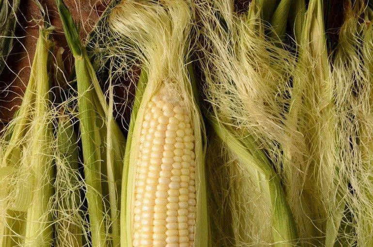 💚Кукурузные рыльца при ощущении тяжести после еды

Применялись как мягкое средство для пищеварения.