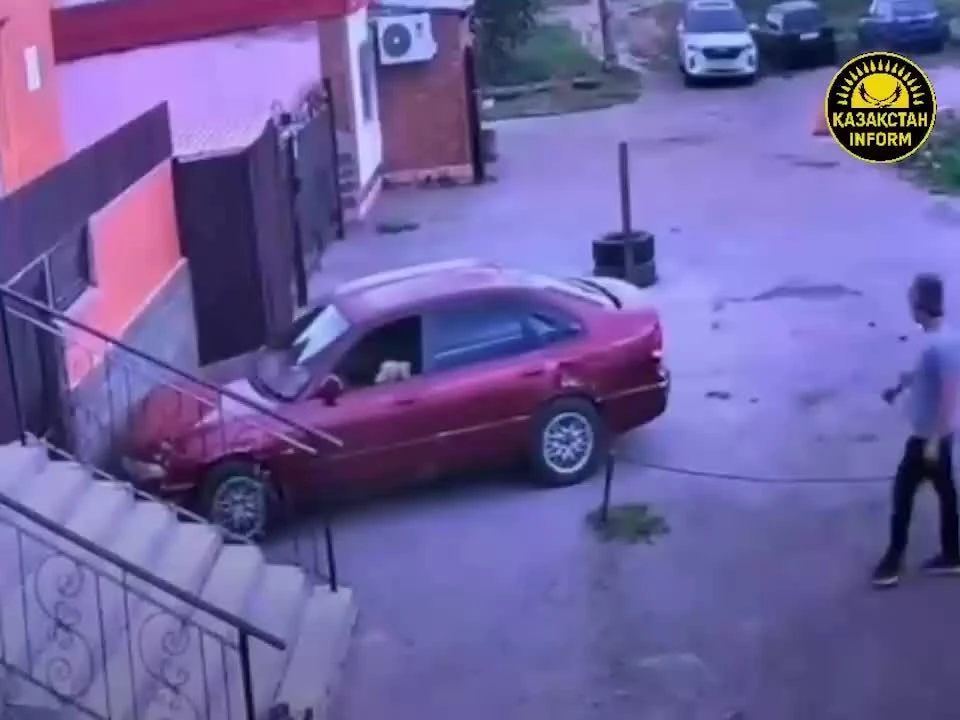 В Казахстане кошка "угнала" машину и врезалась в стену.