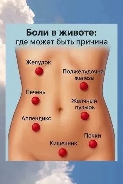 Боли в животе могут сигналить о проблемах разных органов: желудке, поджелудочной, печен...
