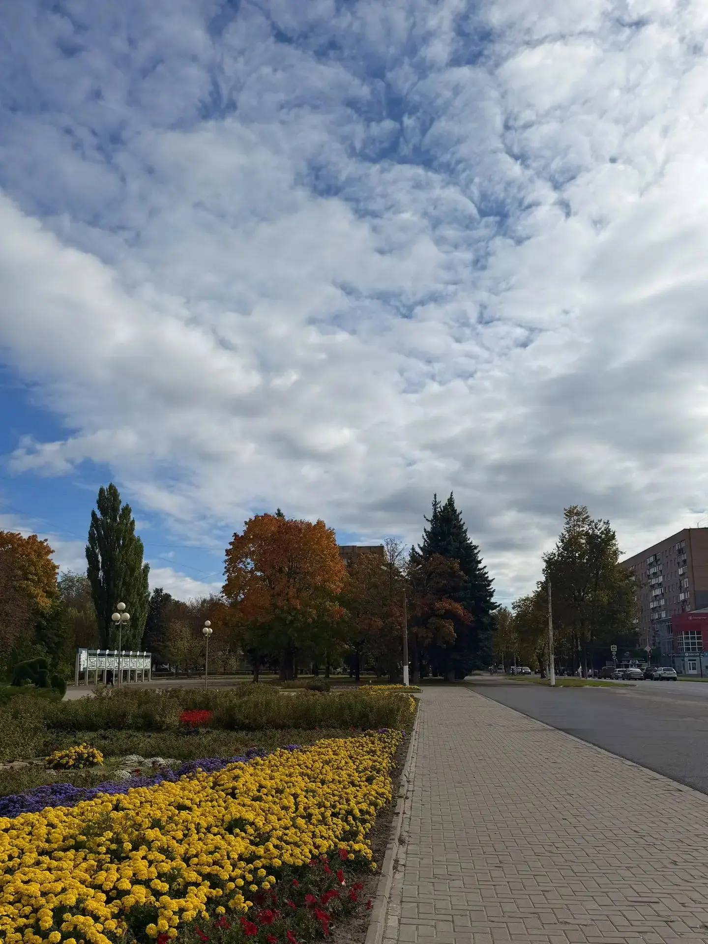 ✏Нам пишут: Влюбляться каждый сезон в свой город снова и снова❤️