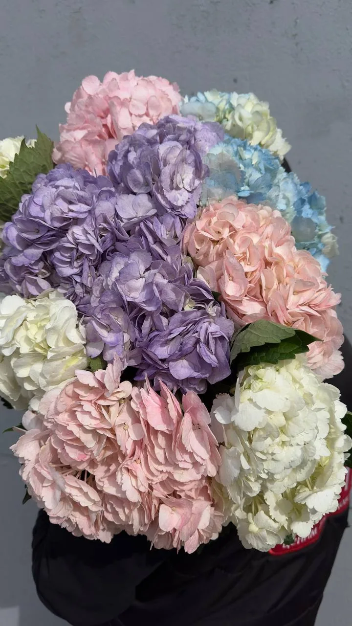 🌸 Свежее поступление