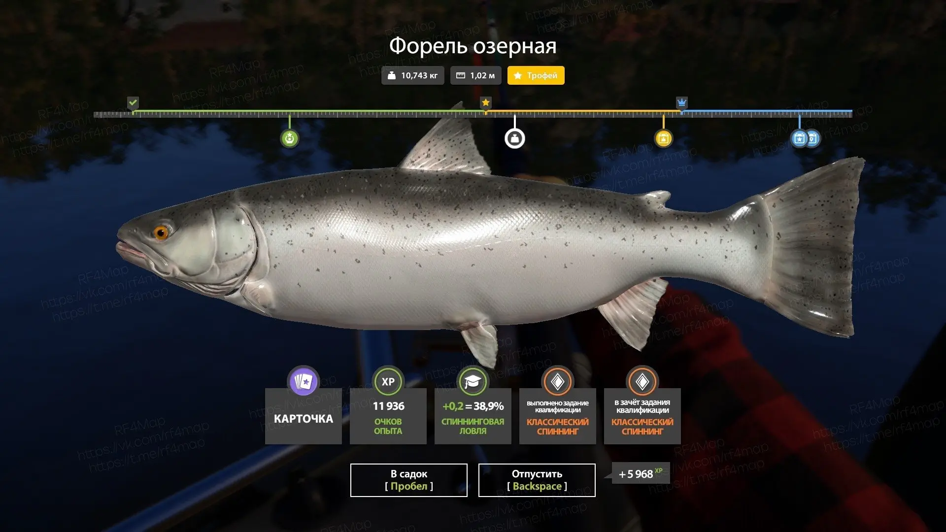 #трофей_rf4map
Водоем: #куори_rf4map
- Рыба: Форель озерная
- Квадрат: G5
- Клипса: 15
- Скорость: 5