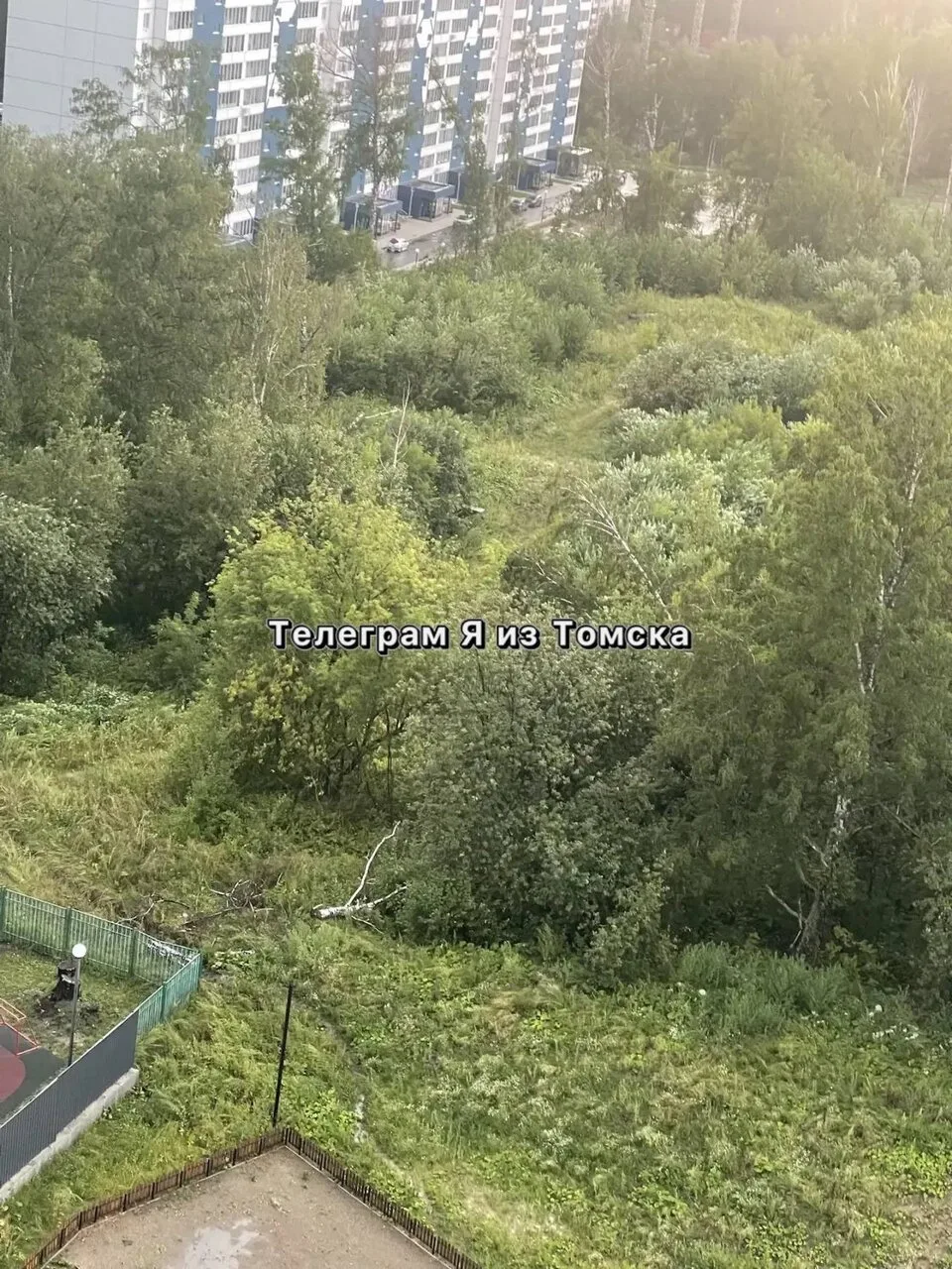 🌳 Ливень продолжает валить деревья по всему Томску.

📍 Район улицы Высоцкого, Солнечная роща — оче