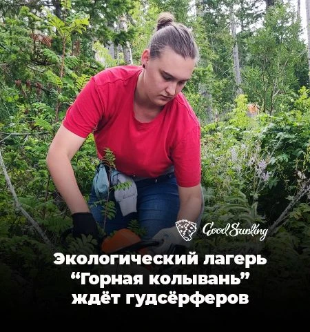 Хотите совместить приятное с полезным?
У вас есть возможность побывать волонтером в предгорье Алтая,