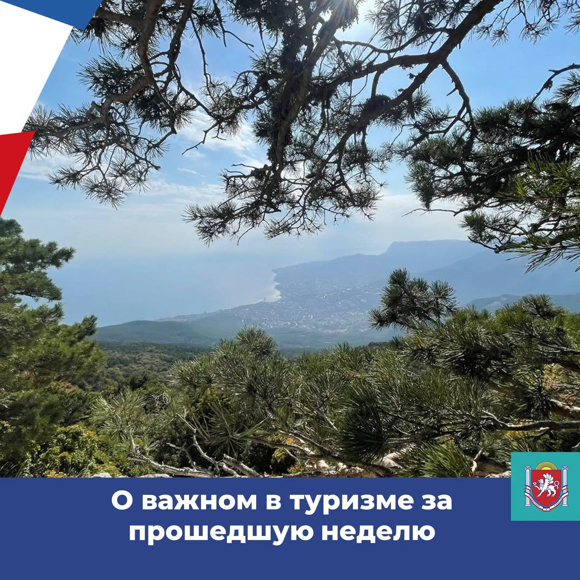 ✅Правительство РФ утвердило порядок предоставления