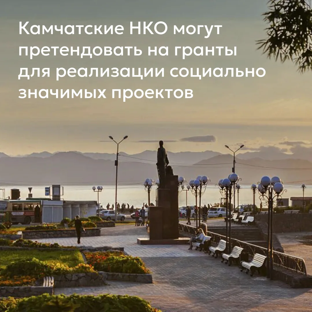 Некоммерческому сектору Камчатского края предлагают принять участие в конкурсе грантов. Подать заявк
