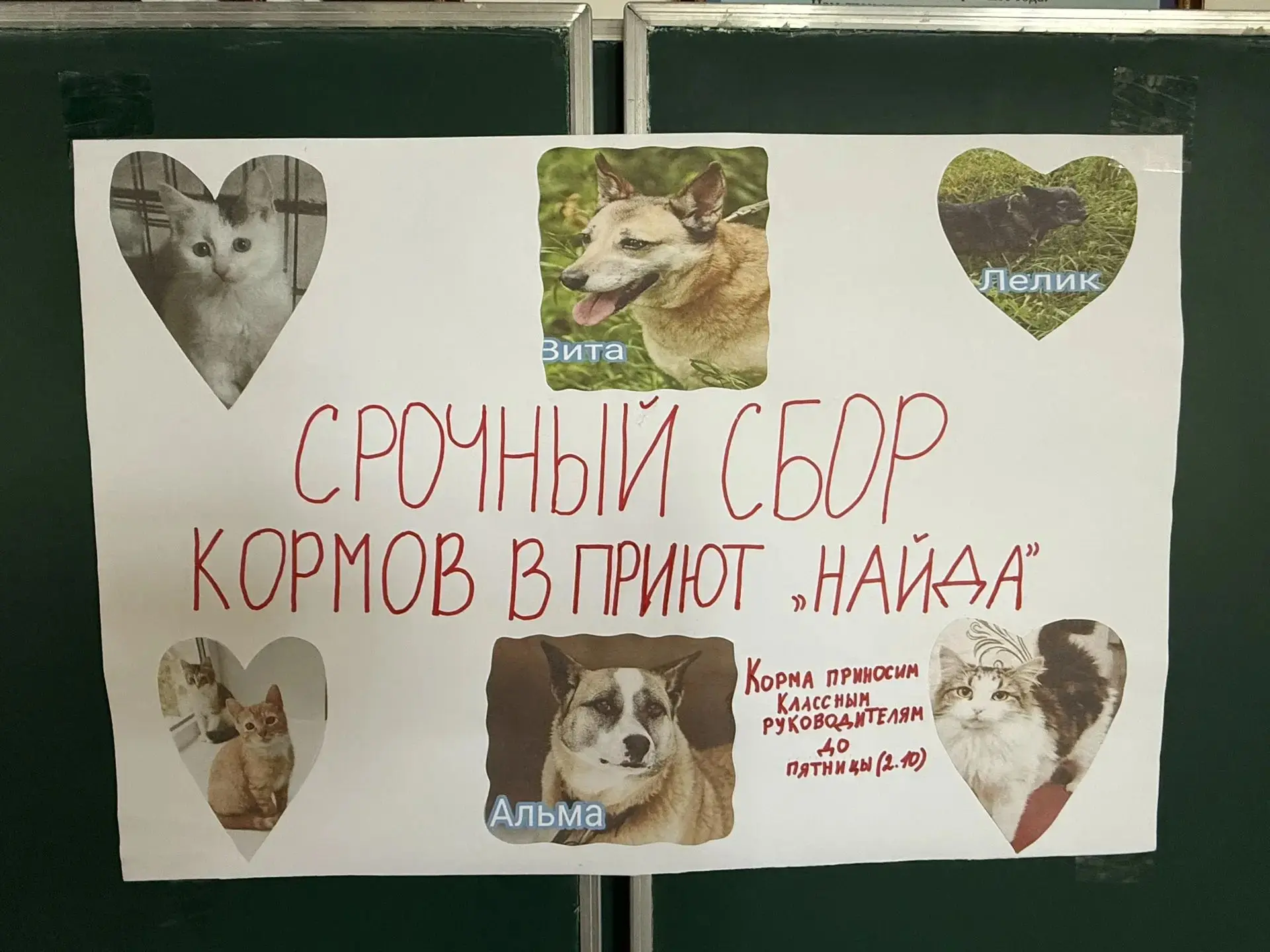 🤗Дорогие друзья!