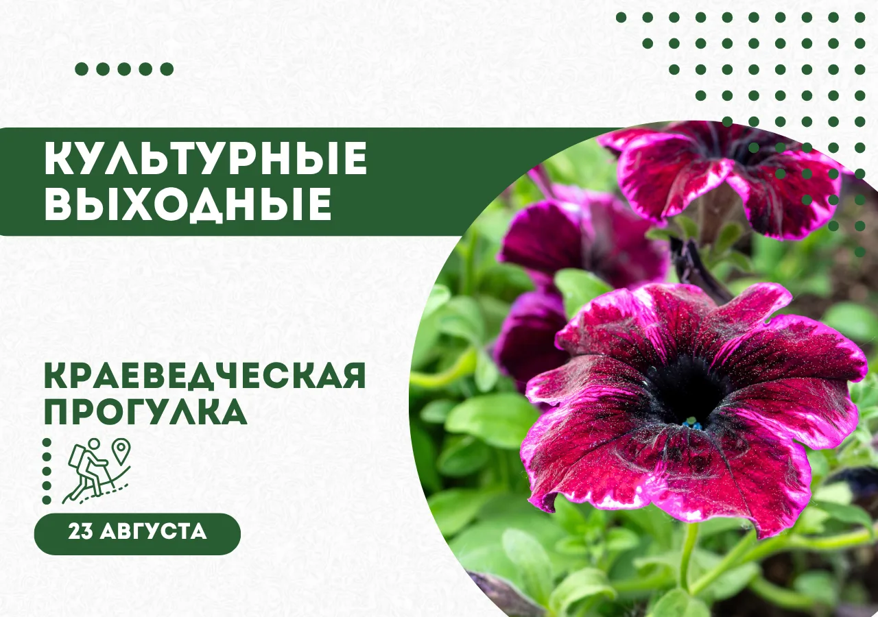 🏠 Живём в режиме активного лета