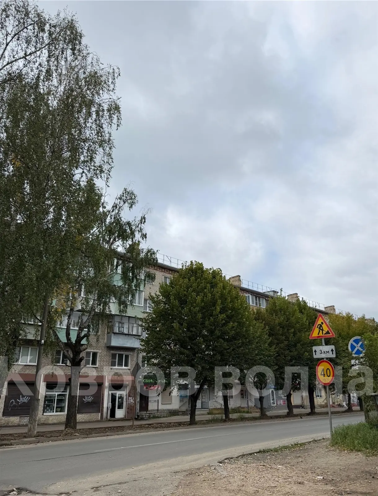ВЫ ТОЖЕ ЗАМЕТИЛИ, ЧТО ГРЯЗНЫХ И ПЫЛЬНЫХ КУСТОВ БОЛЬШЕ НЕТ🧐‼️