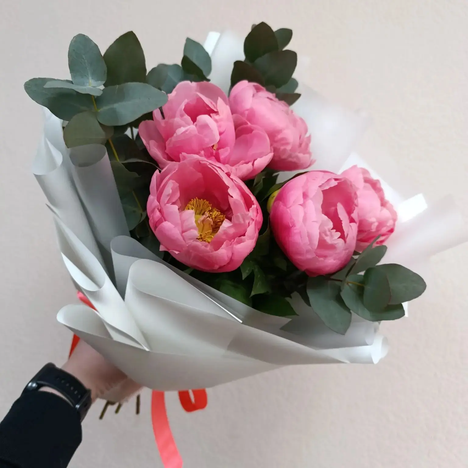 Начинаем сезон пионов🌸 Заказ можно оформить здесь⬇️
+79508977723 (max/telegram/📞)
+79021375735
Раб