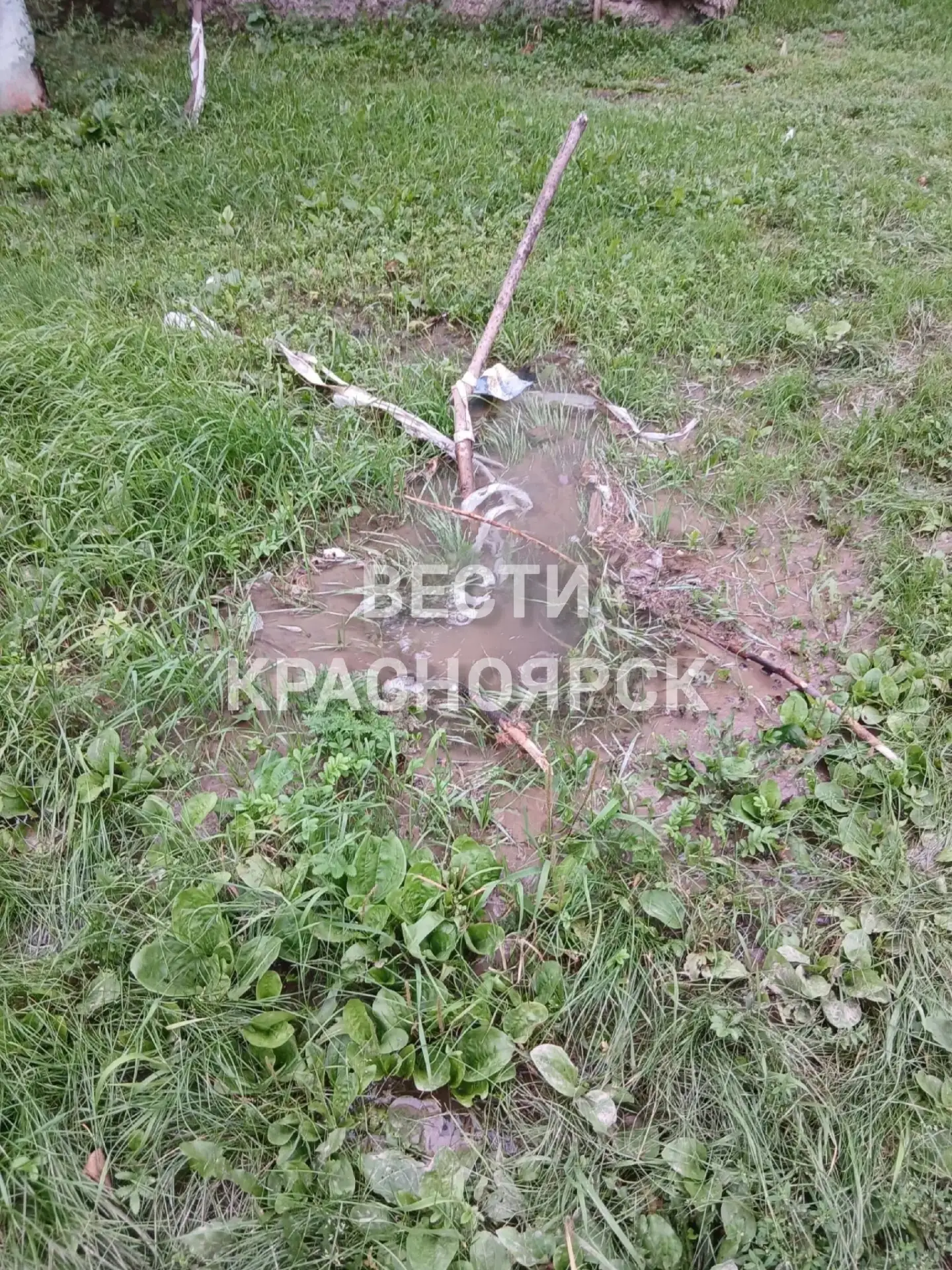 Возле дома на Курчатова, 2 из земли бьёт фонтан