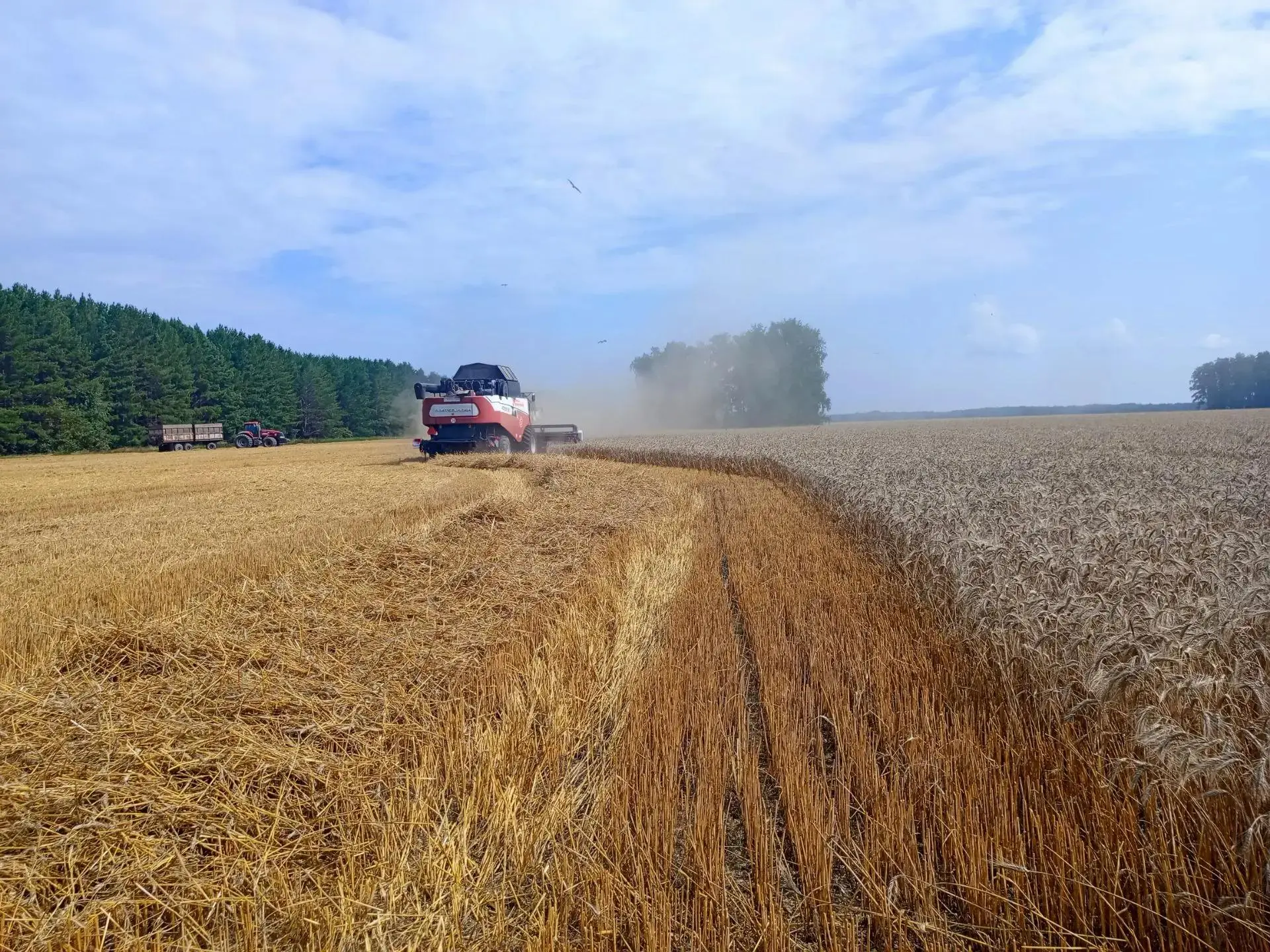 В районе началась пора сбора урожая
