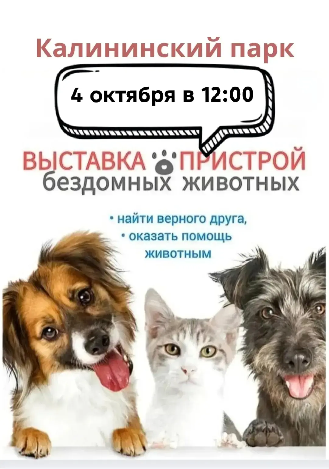 🐾4 октября — Всемирный день защиты бездомных животных. Этот день не про грусть,он про ...