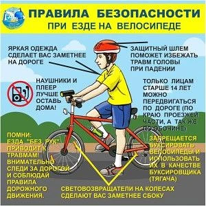 Лето в самом разгаре! Это значит, что можно гулять, играть и кататься на любимых велосипедах и самок