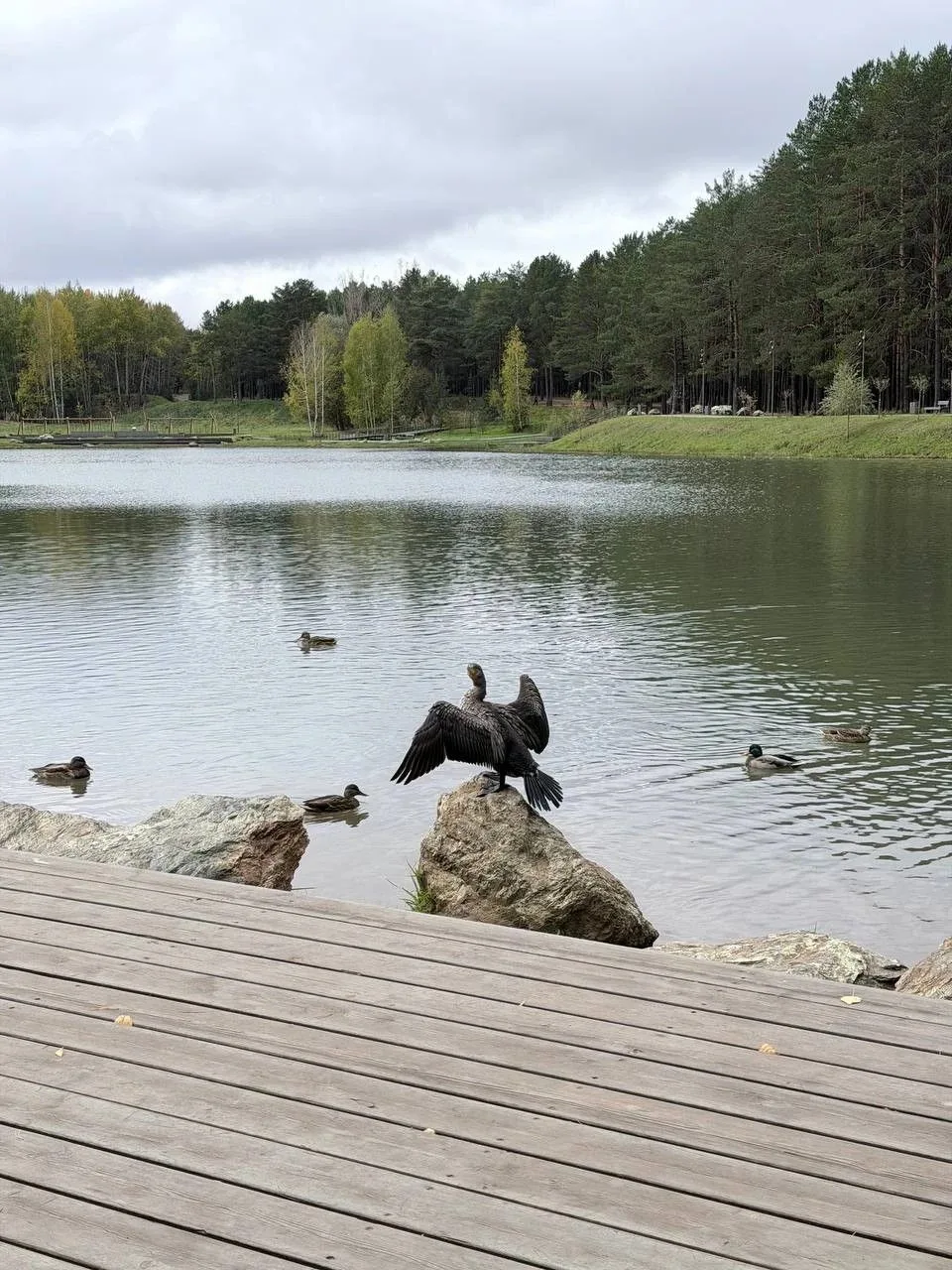 Парк Прибрежный 🥰