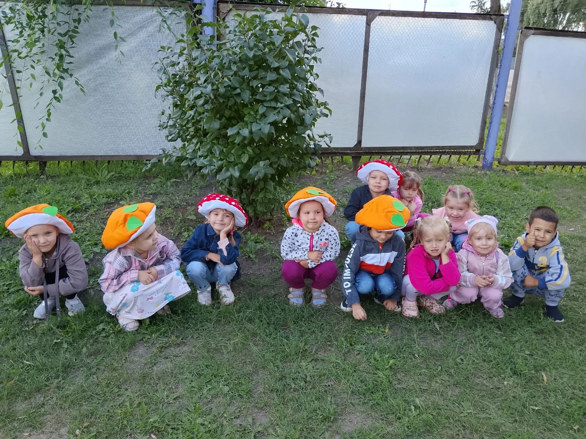🍄‍Увлекательное путешествие в "Царство грибов"🍄‍🟫
