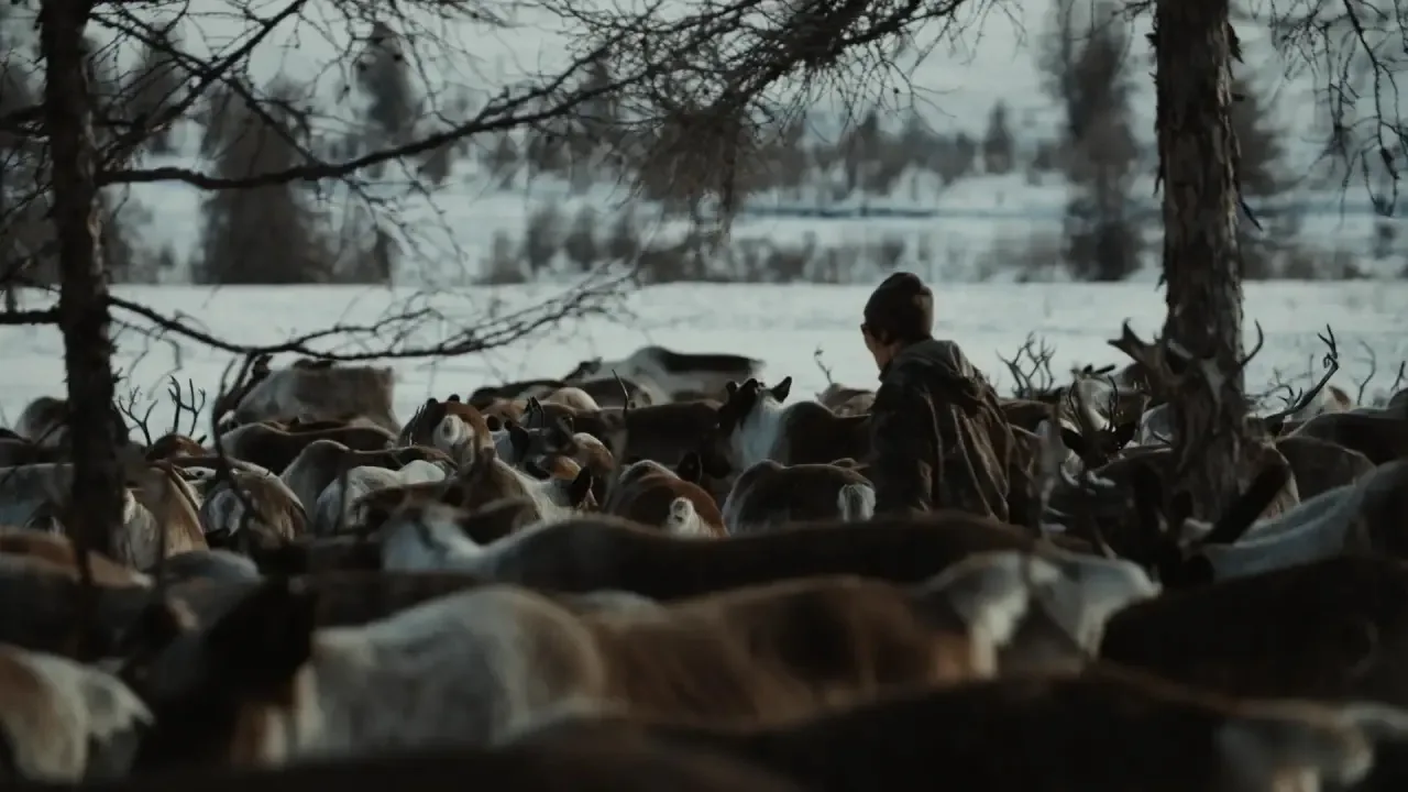 ❄️🗻 «Ген Арктики. Якутия»: фильм и фотогалерея — на площадках «Якутия 24»