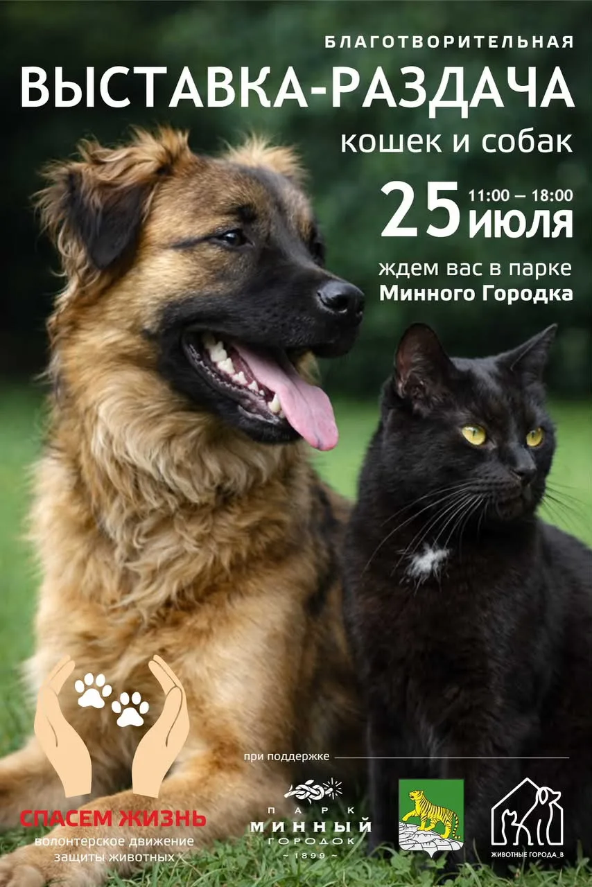 ⚡️Уже завтра встречаемся в «Минном городке» — приходите за самым преданным другом!😻