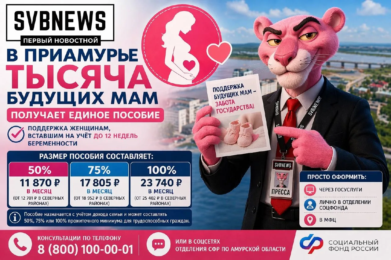 В Приамурье около тысячи беременных получают единое пособие  В Амурской области порядка тысячи будущ