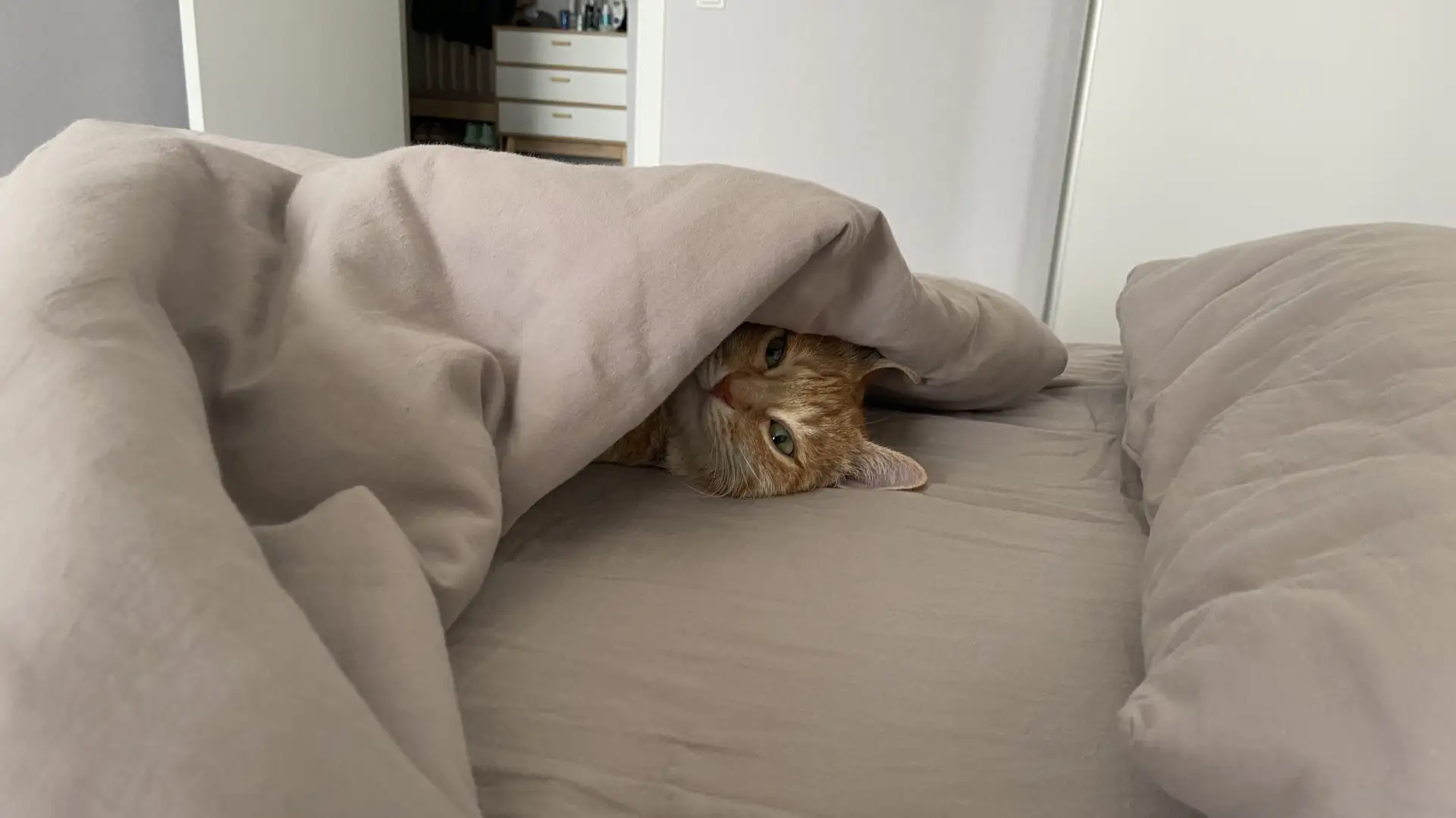 Люди, объясните мне одну вещь 😾
