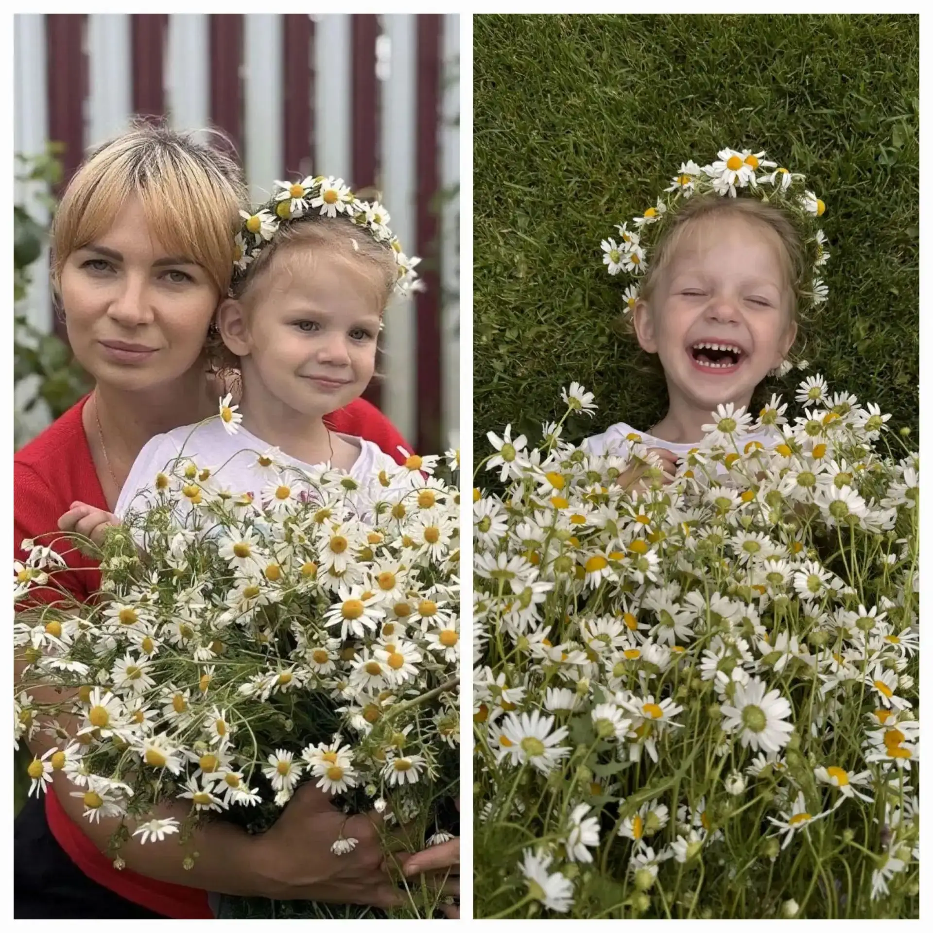 🌼 8 июля в нашей стране отмечается один из самых тёплых и душевных праздников – День с...
