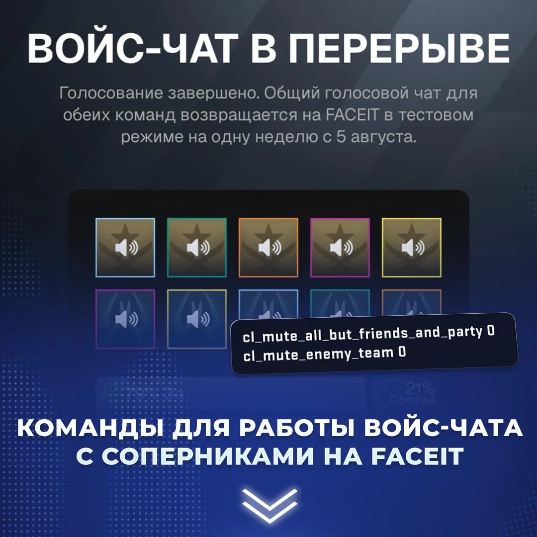 🗣 Не работает войс-чат между командами на Фейсите? Введи две строчки в консоль.

Сейчас на FACEIT в