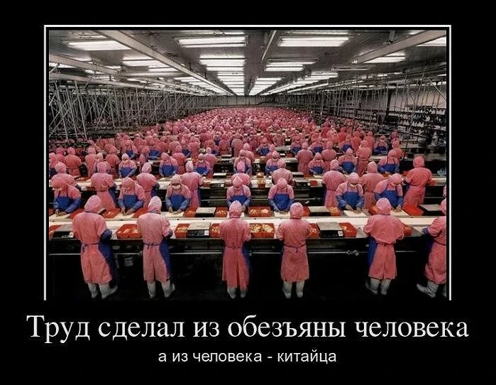 🇨🇳 Как китайцы работают по 10 и 12 часов без выгорания