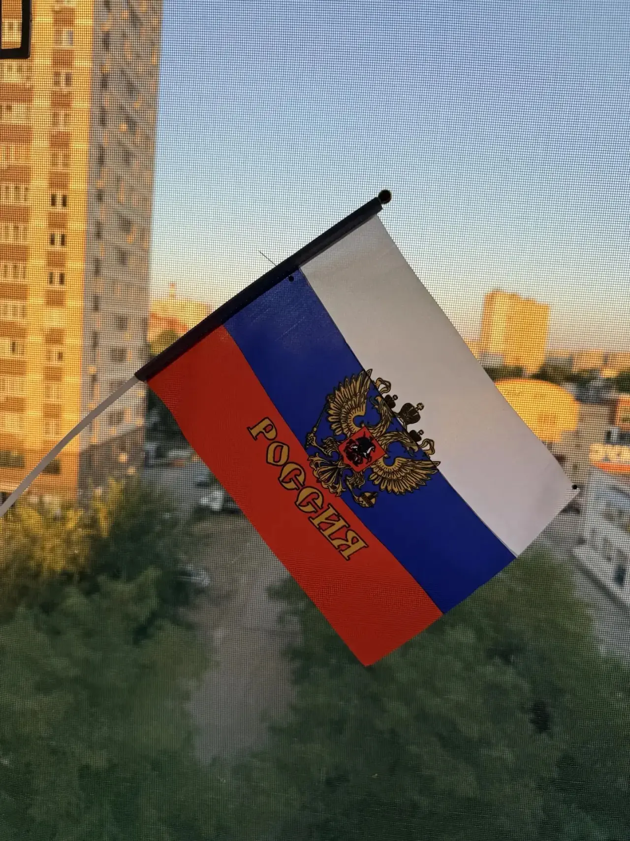 Шнуренко Варвара (класс преподавателя Никитенко О.О.) принимает участие в акции «Флаги ...