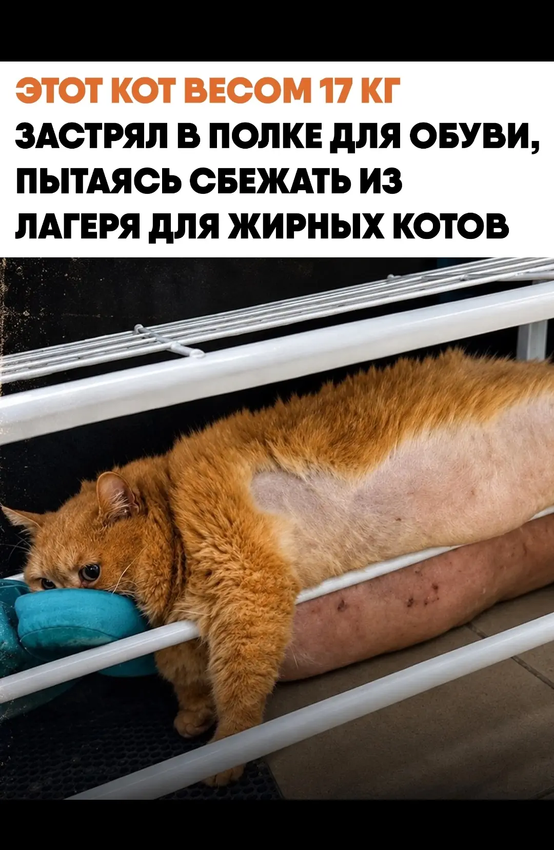 Простите! 😂😂😂
