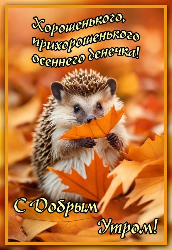 Доброе утро. 🍁