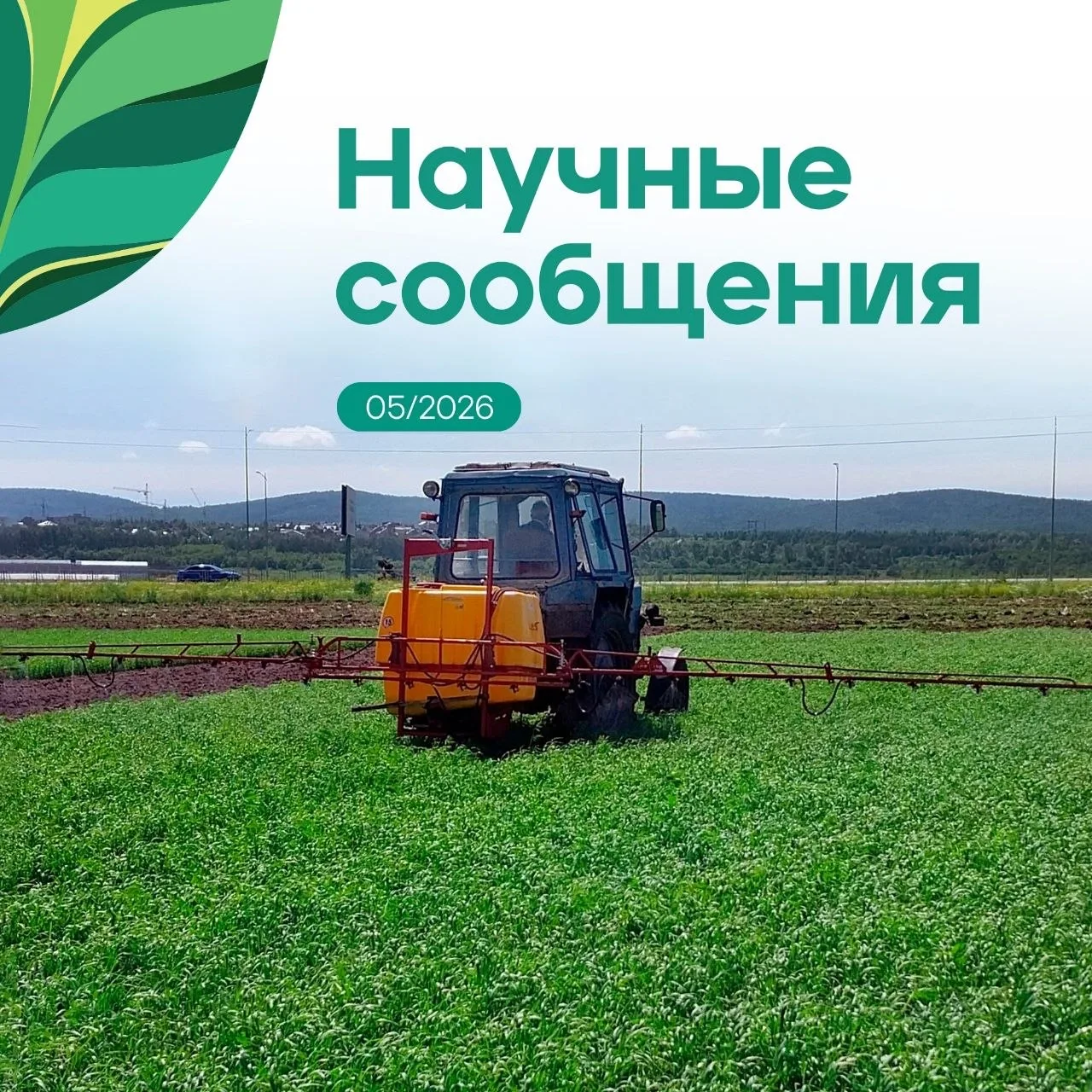 Дорогие друзья!