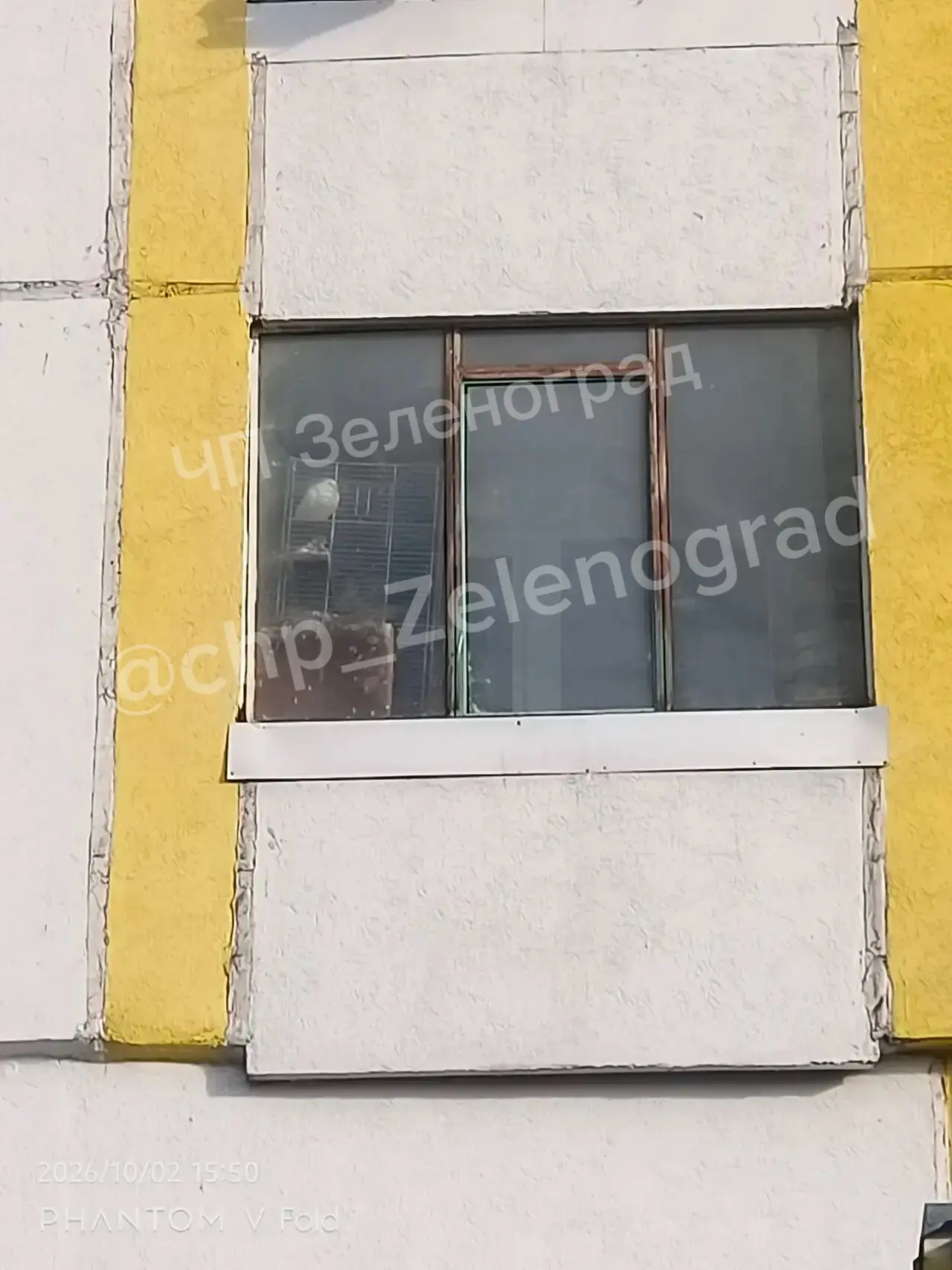 🤯 В корпусе 1106 кто-то держит голубей прямо на балконе, в маленькой клетке.