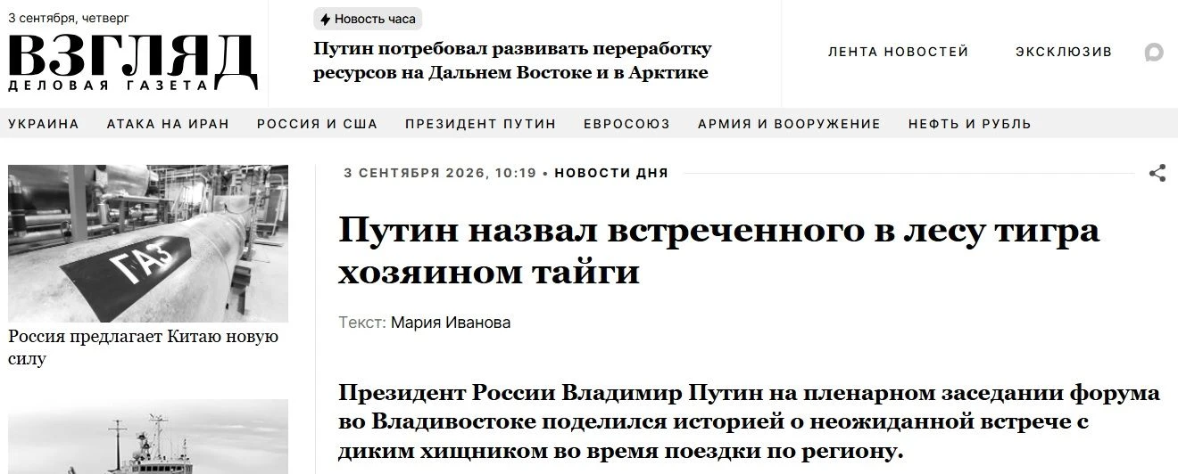 Глаза тигра встретились с взглядом человека.