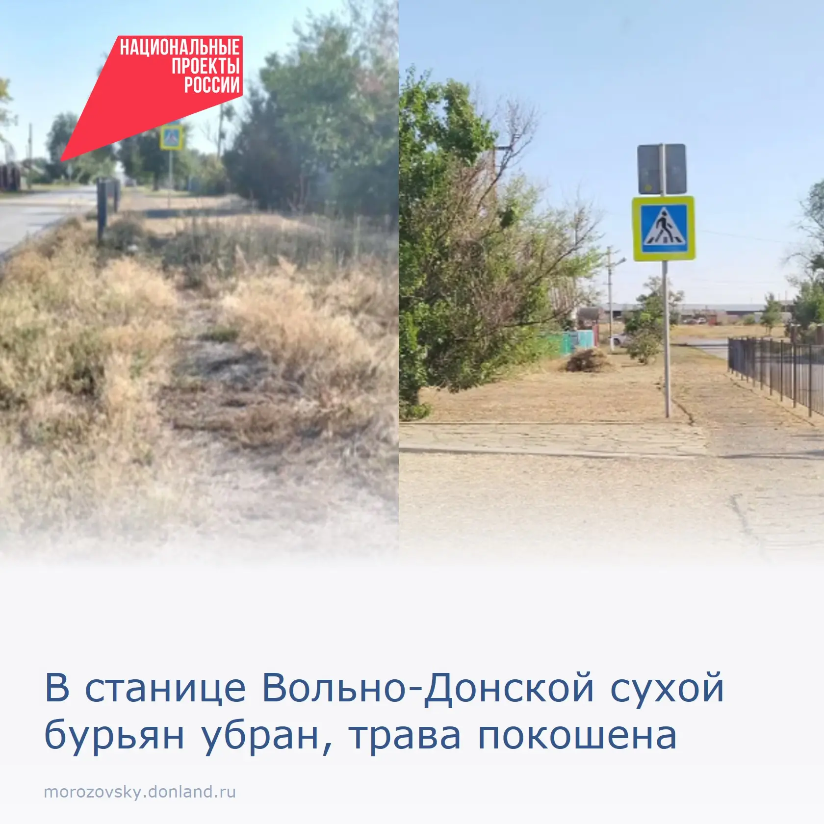 Житель Морозовского района заметил заросли и не стал проходить мимо. Благодаря его опер...