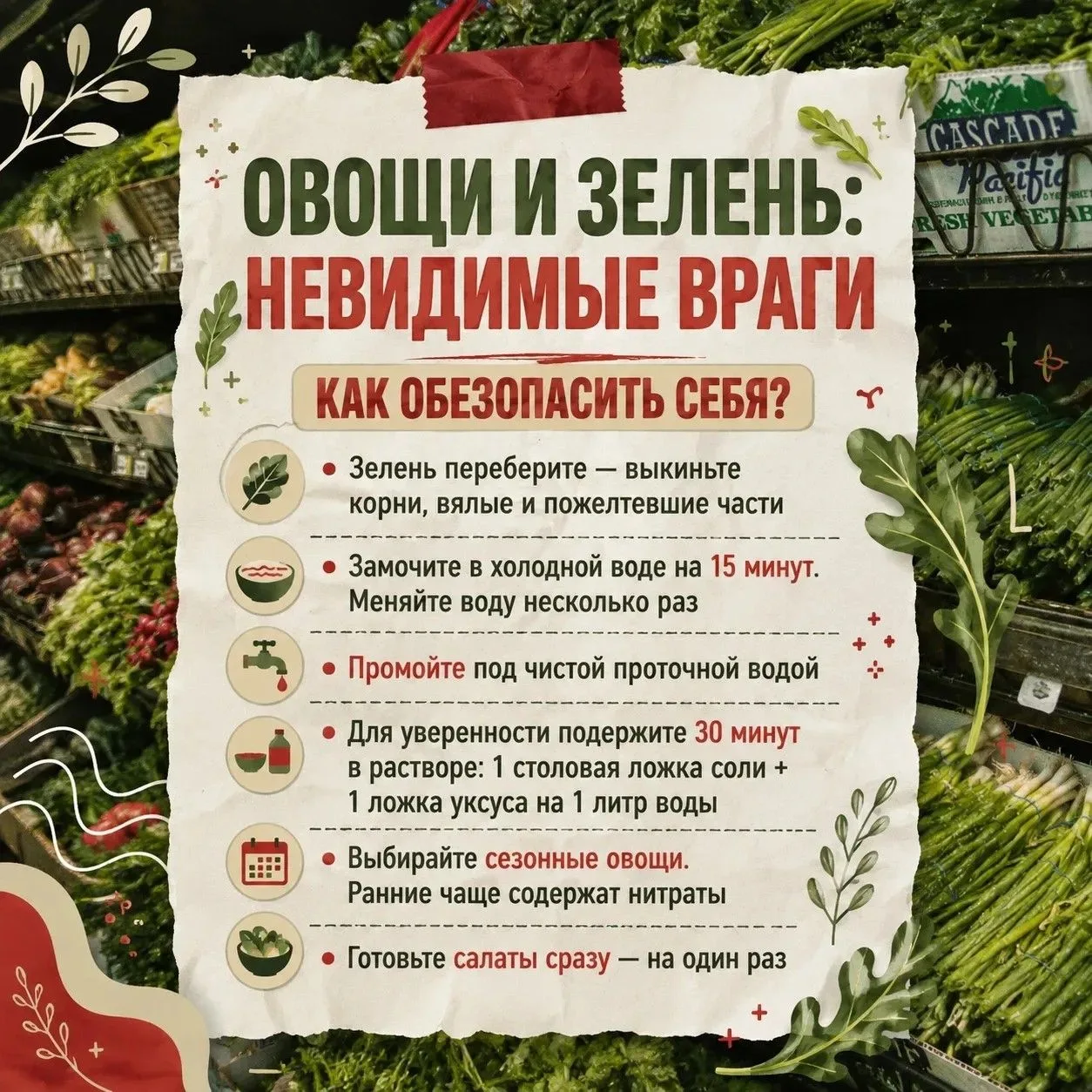 🥬 Свежие овощи и зелень — основа здорового питания. Но под красивой внешностью могут с...