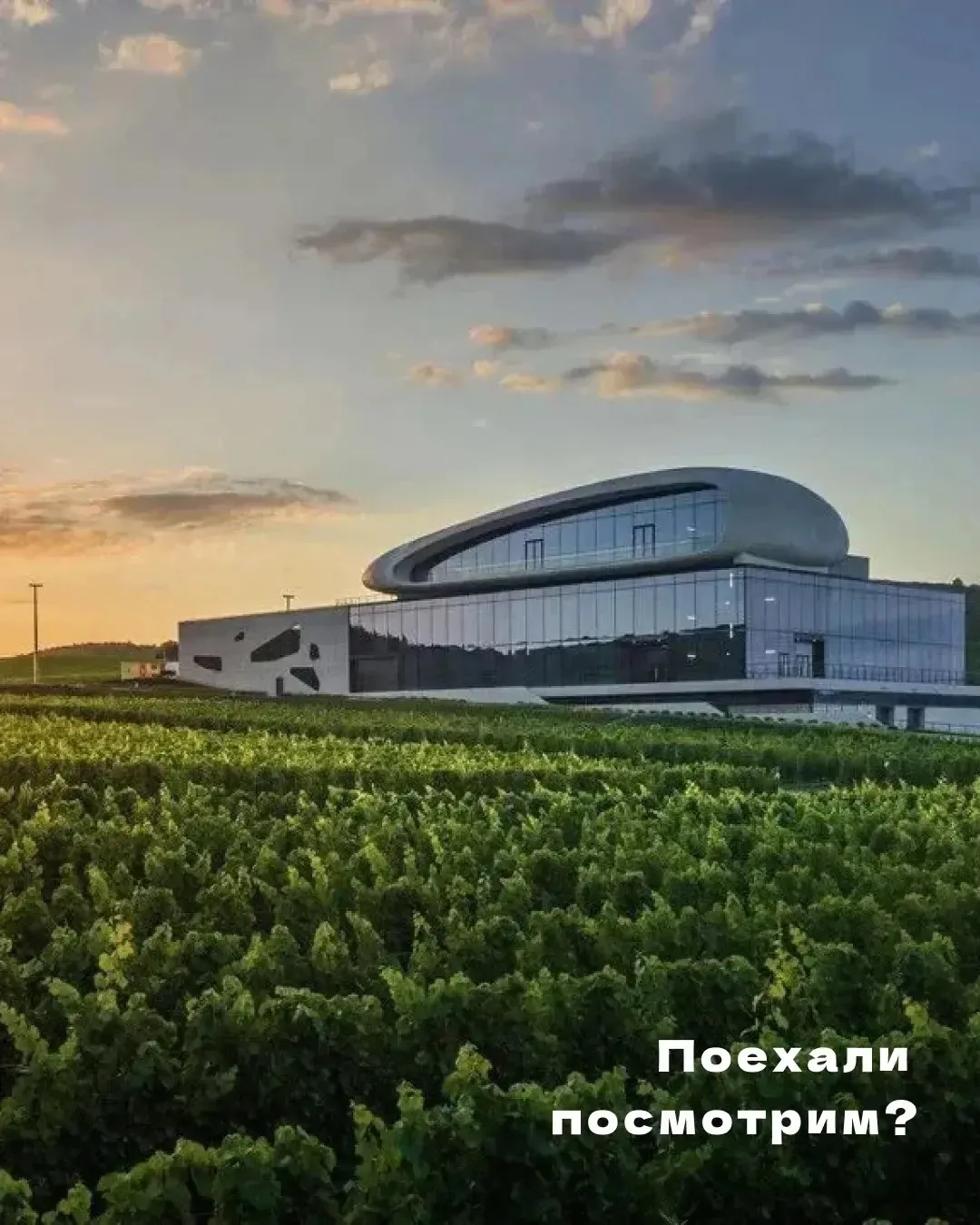 Поехали посмотрим? Или куда съездить всей семьей, чтобы было красиво, познавательно и н...