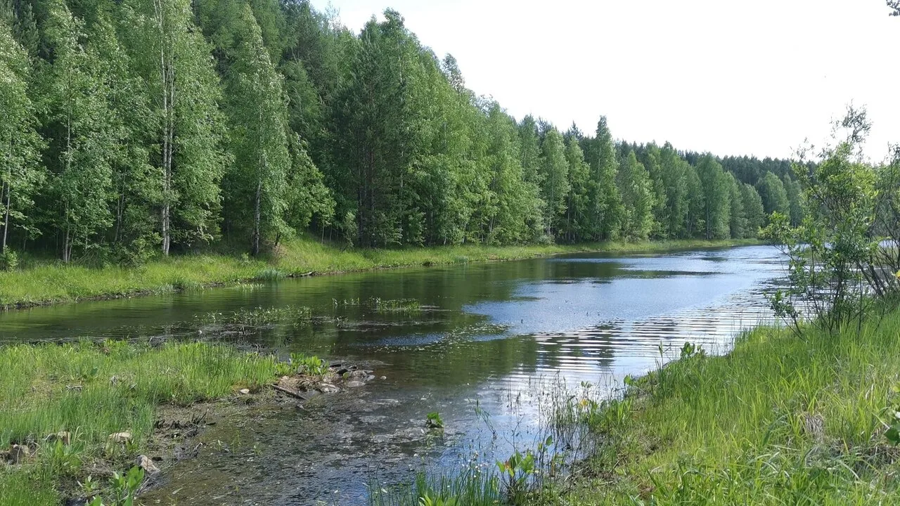Доброе утро!

Подслушано в Кушве
