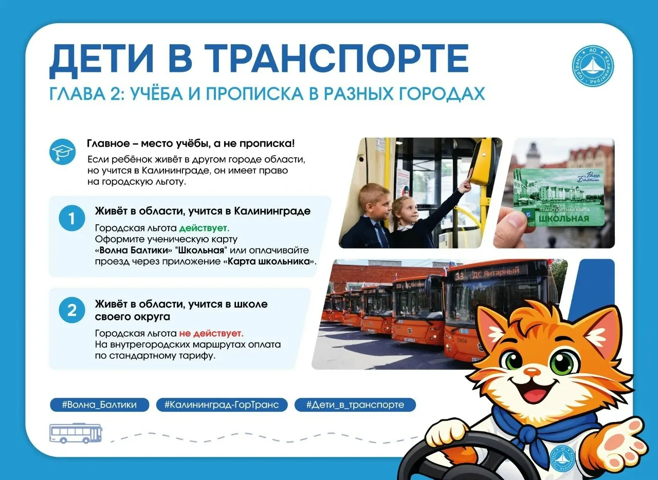 В «Калининград-ГорТрансе» объяснили, могут ли пользоваться льготами иногородние дети🚌