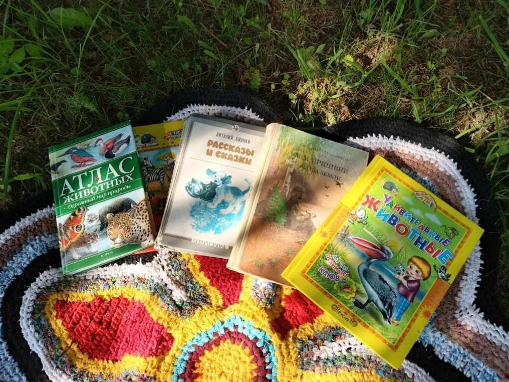 🌿📚 Патиковская сельская библиотека провела час экологического чтения "На природе - о природе" для 