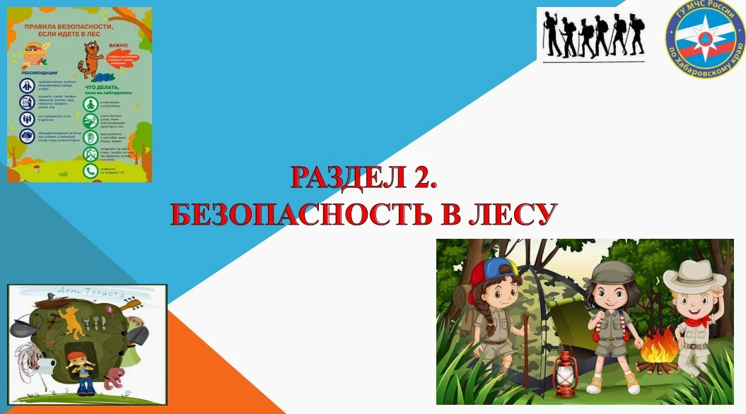 Безопасность в лесу
