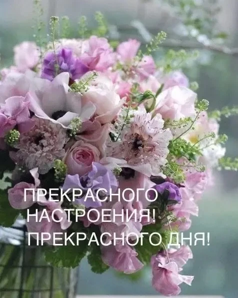 🥰 Ставьте реакции и делитесь открыткой с близкими ❤️