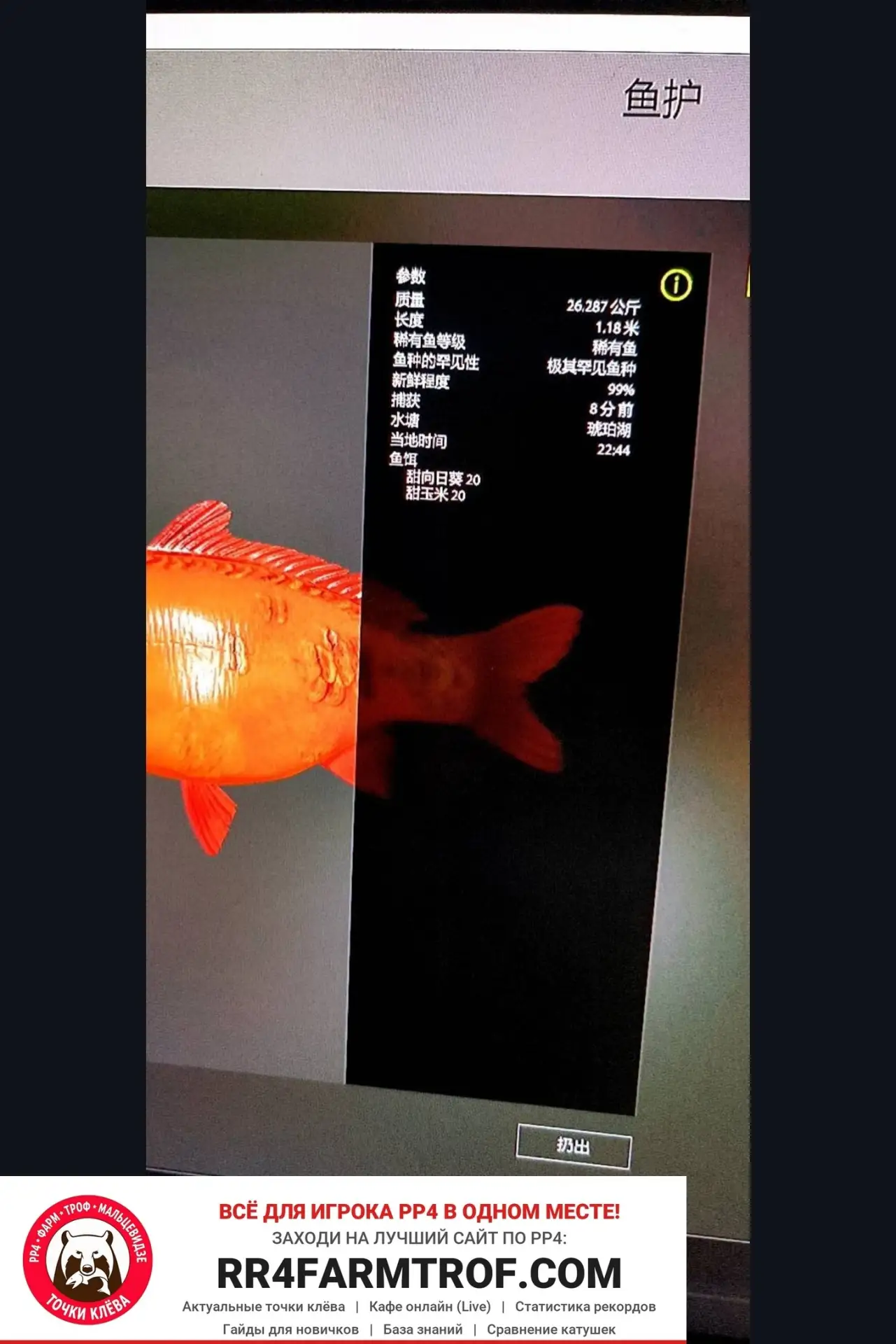 #янтарное@pp4farmtrof
Янтарное
🇨🇳 Китай
КАРП КРАСНЫЙ СТАРВАС - ЗЕРКАЛЬНЫЙ
Точка клева: 169:83
Клип