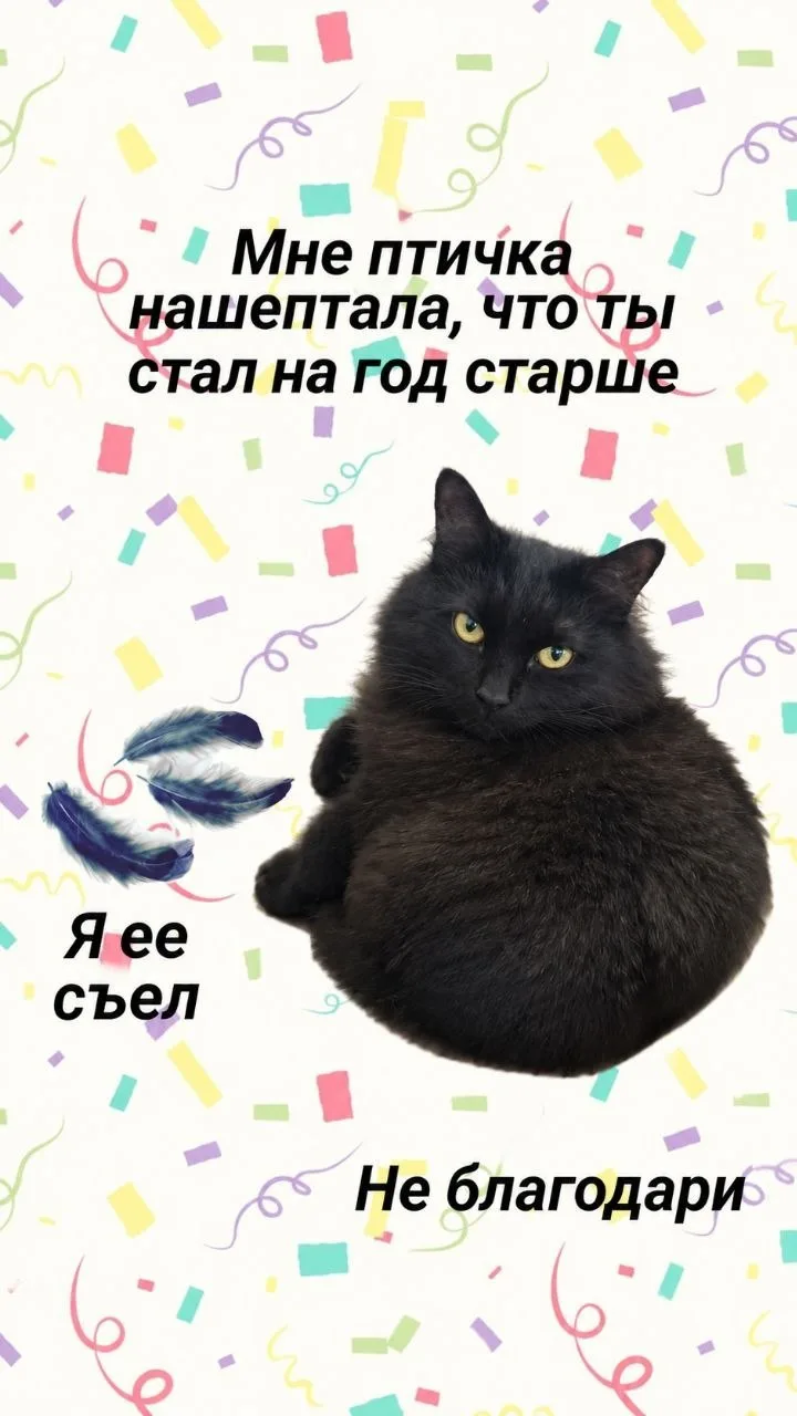 Псс парень, с дном рождения тебя. Желаем тебе пушистую холялку и толстую лилеелку. Гово...
