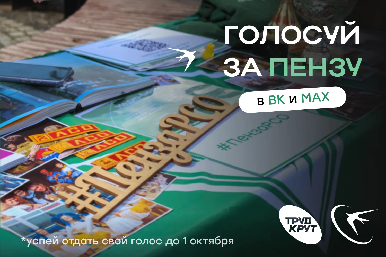 Голосуй за родное РО💚