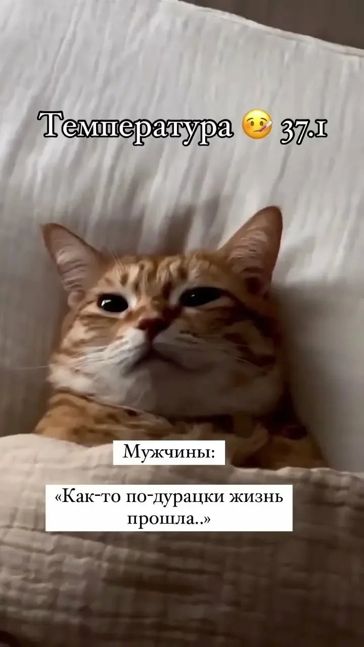 А теперь представьте если его почти сутки тошнило и температура  39,1 …

Подросток заболел и вчера п