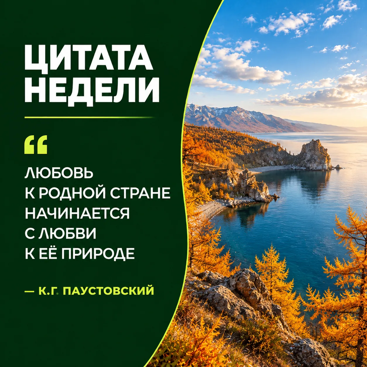 🌿 Цитата недели